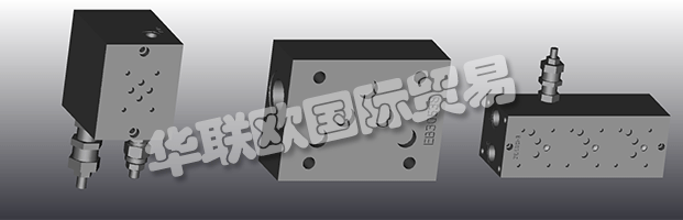 EUROFLUID Hydraulic是一家大型公司，專門生產(chǎn)液壓設(shè)備的歧管。
