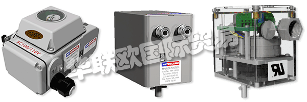 因此被視為AUTOFLAME公司和質(zhì)量管理體系的主要目標(biāo)。