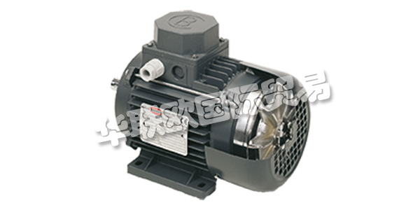 MOTORI BONORA成立于1945年，其業(yè)務(wù)逐步集中在異步電動機的生產(chǎn)上。  　　在這些年里，他們努力追隨市場的發(fā)展，加強他們制造商的使命，并高度重視產(chǎn)品和服務(wù)的質(zhì)量。