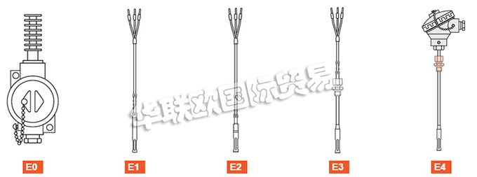 ELSI探頭、ELSI溫度計、熱電阻、熱電偶、熱電偶探頭、電阻溫度計探頭、溫度變送器、便攜式溫度計、滑動法蘭、電子溫度計連接頭、滑動螺紋配件。