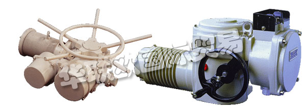 歐洲捷克ZPA-PECKY公司的產品主要有：ZPA PECKY執(zhí)行器、ZPA PECKY電機、伺服電機、單回轉執(zhí)行器、多回轉執(zhí)行器、杠桿伺服電機、線性伺服電機、伺服電機的配置器、ZPM變速箱、Mastergear變速箱、單轉伺服電機、多圈伺服電機、推力伺服電機。