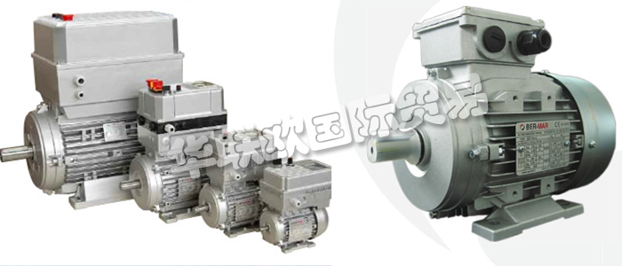 意大利BERMAR公司的主要產(chǎn)品包括：意大利BERMAR電機(jī)、BERMAR電動(dòng)機(jī)、異步電機(jī)、異步電動(dòng)機(jī)、永磁發(fā)動(dòng)機(jī)、逆變器、伺服通風(fēng)電動(dòng)機(jī)、伺服電動(dòng)機(jī)、工業(yè)洗衣機(jī)電動(dòng)機(jī)、單相電動(dòng)機(jī)、DRIVEJET鼓風(fēng)機(jī)、高效電機(jī)、泵、風(fēng)扇、工業(yè)壓縮機(jī)。